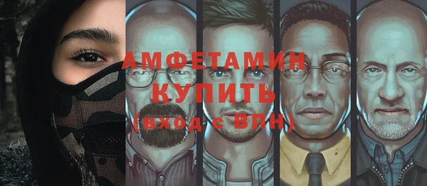 метадон Алексин
