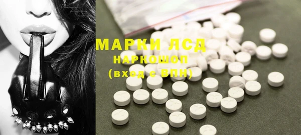 PSILOCYBIN Алзамай