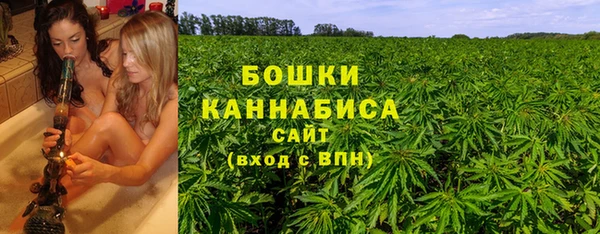 PSILOCYBIN Алзамай