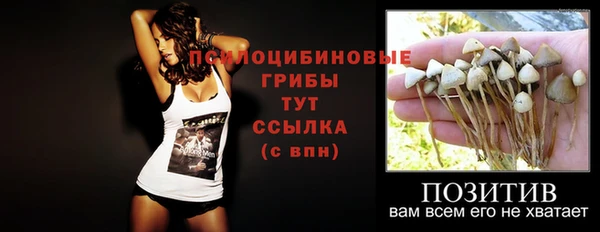 PSILOCYBIN Алзамай