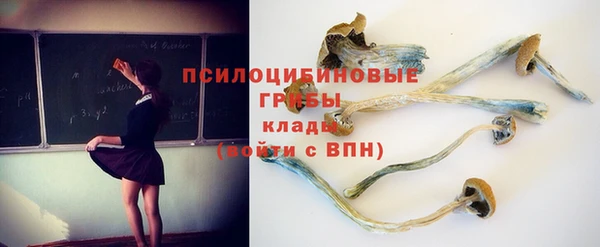 гидра Ростов