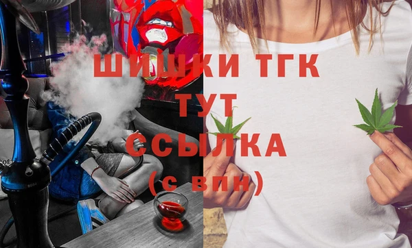 PSILOCYBIN Алзамай
