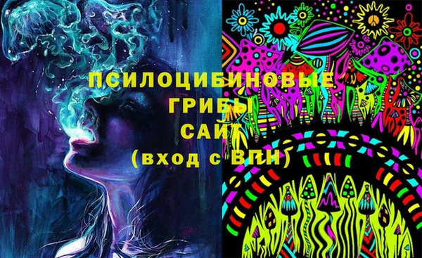 PSILOCYBIN Алзамай