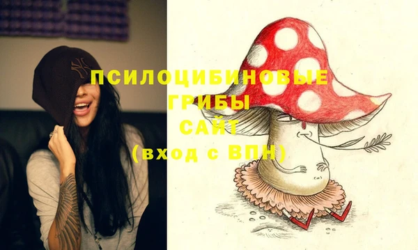 метадон Алексин