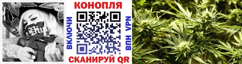 купить  цена  Зеленоградск  Канабис индика 